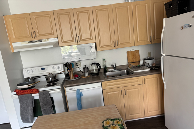 Kitchen - South Campus Commons 7 4x2 Apartments