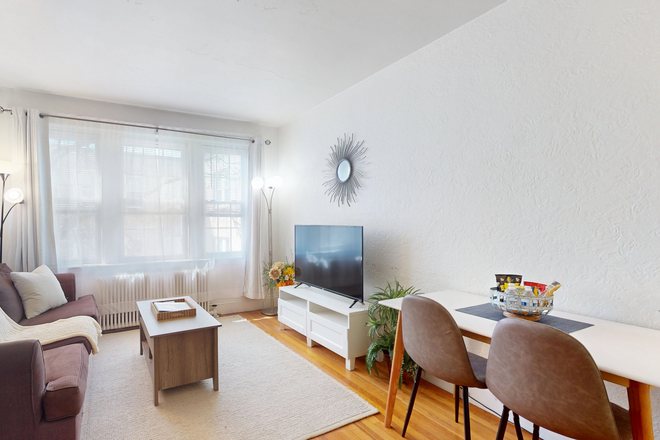 Living Area - KIL9043 Sunny, Renovated, Furnished 1-Bed,  Close to BU, BC, MBTA Apartments