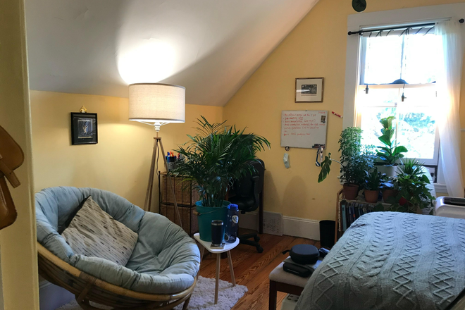 Bedroom - One room in a 4-bed/2-bath apartment in Cambridgeport (Close to MIT campus)