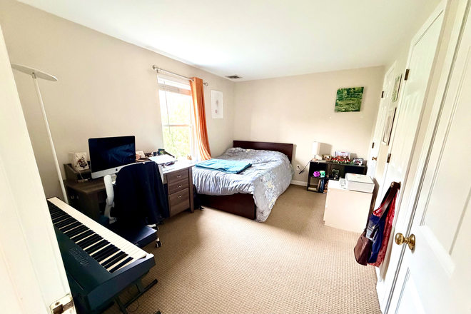 Master bedroom - 2 Bed 2 Bath Apartment Near Campus