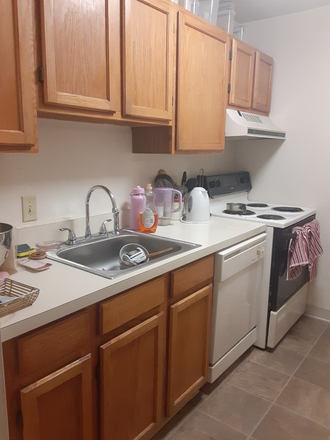 Kitchen - Harbor Point on the Bay Apartment - Shared housing, two girls to a room