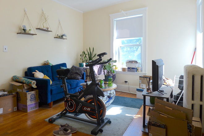 bostonrealtyonline.com - Brookline One Bed Gem with Sun Soaked Study Space Apartments