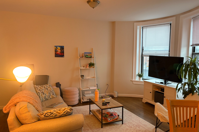 Living Room - Cleveland Circle Apartment