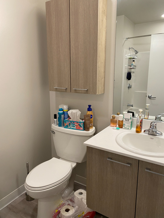 Private Bathroom - Fieldstone Slate Apartments Spring 2026 Relet - DISCOUNTED FOR OLYMPIA