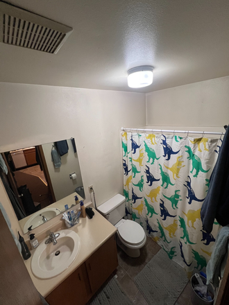 Bathroom - 1135 Pennsylvania Ave, Lease starting January! Apartments