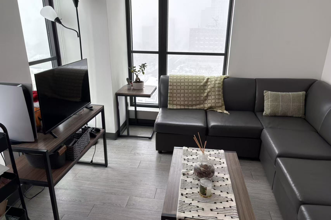 Living Room - Lightview Apartments