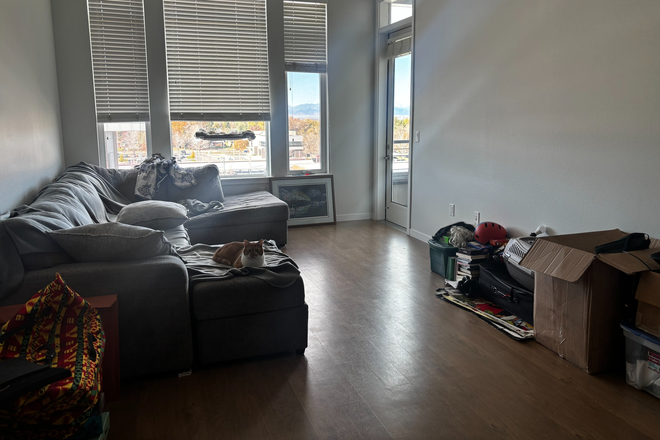 living room - Town Center Collection sublet, <10 mins from campus!
