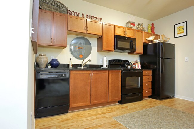 Kitchen - 221 Armstrong - Upstairs LARGE Room close to campus! Apartments