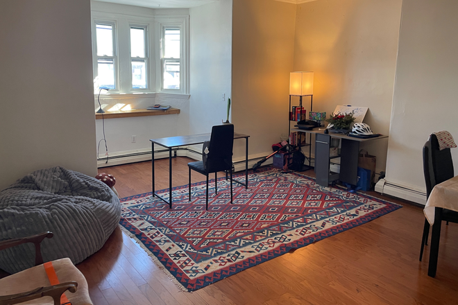 LIving room - SUMMER - 1 Bed - Cats Allowed - No Fees Apartments