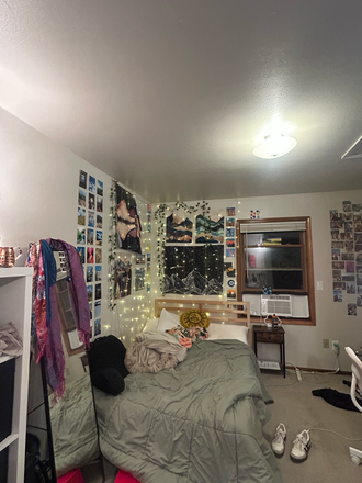 The bedroom for sublease - Goss Grove neighborhood, one bedroom for rent, ~15 minute walk to campus Condo