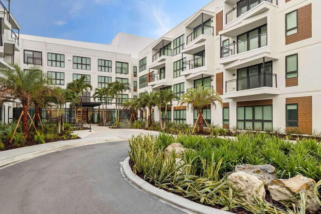 Outside - Hub On Campus Tampa Apartments