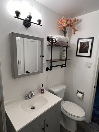 Newly remodeled bathroom with shower and tub - Cute, cozy home near Anschutz Medical Campus