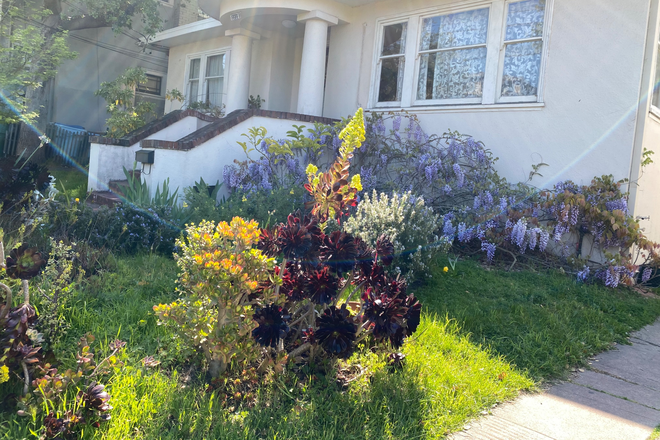 Front house - Beautiful house looking in Berkeley for housemate