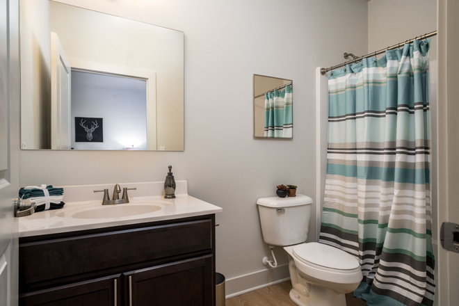 Bathroom - The Rocks at MSU Apartments