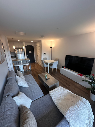 Living room and dining room - Convenient, modern 1Bed/1Bath on Harvard Business School Campus Apartments