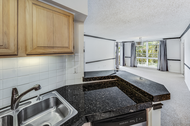 Kitchen counter - UNIVERSITY INN - Big Beautiful 2/2 with W/D & Central A/C -  Avail Early Aug