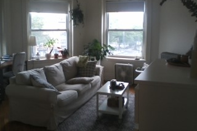 hubrealtyproperties.com - Front view & airy 1 bedroom, with newly updated kitchen Apartments