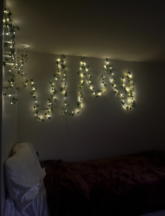 Bedroom W fairylights - Berkeley Off Campus Housing Apartments