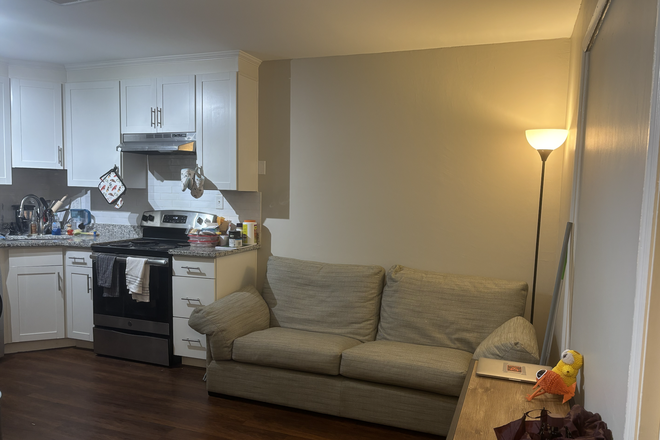 Kitchen/Living Area - 40 Bee Street Apartments (looking for a female roommate)