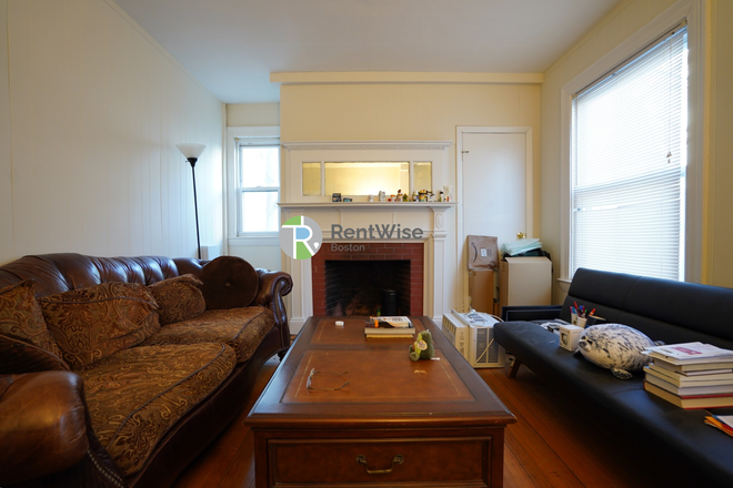 Living room - Step to Campus! Spacious 1 bed in Packard Corner with Eat-in Kitchen Apartments