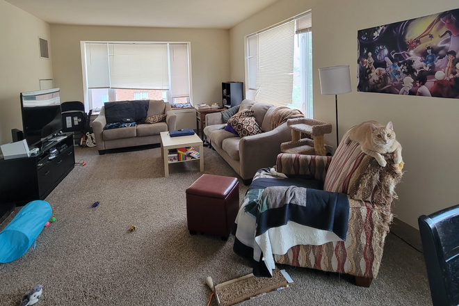 Living Room - Share Apartment Rent Free