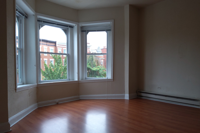 Living Area - 1-bedroom apartment close to Homewood campus