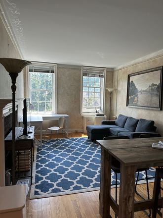 Living Room - Furnished 1BR apt for PU affiliate-Nassau St-Princeton