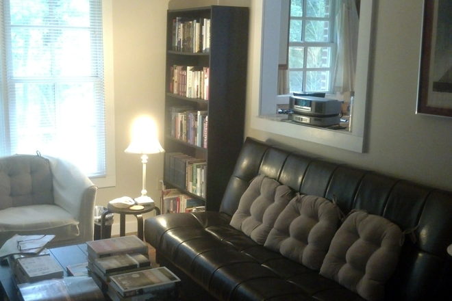 Living Room - Cottage 302 1/2 Apartments