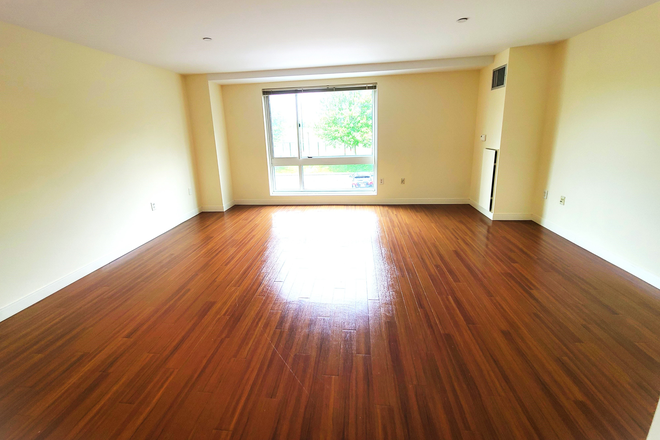 Living room - LOCATION!! Renovated 2 Bed / 2 Bath available 6/3/2026!! Apartments