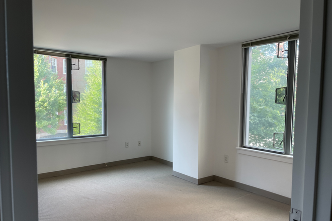 Available room - Spacious modern room in Harvard apartment