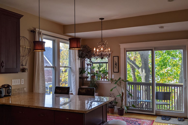 Kitchen, back porch and greenhouse window - Beautiful sunlit apt located between Davis and Porter Square, close to Harvard and 5 min to train