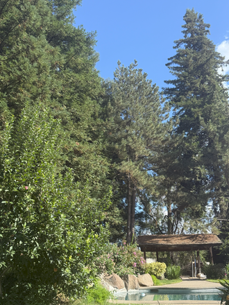 Back yard - Exclusive Home—Large Private Yard, Direct to UC Merced, Student Only?