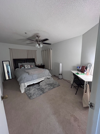 Bedroom - Spacious Private Bedroom & Bath in 2BR/BA Apartment - 2 Miles from USF!