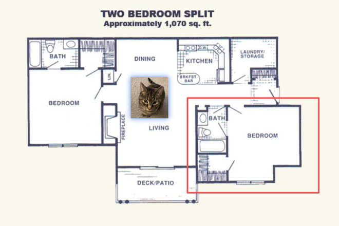 Floor Plan - Paramont Woods