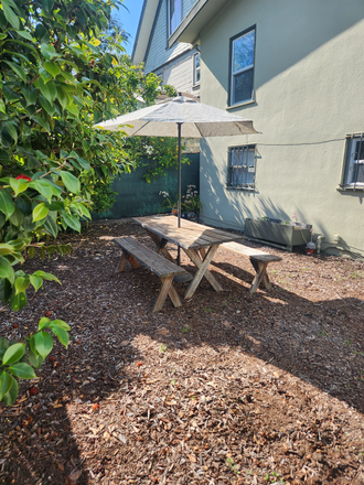Backyard - Bright One Bedroom Apartment