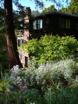 Apartment is at lower level of the house - Panoramic Hill garden apartment above campus