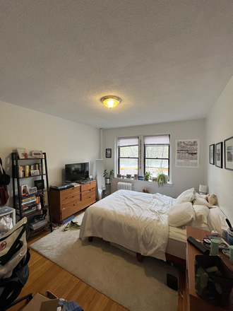 Bedroom available for rent - Luminous Brighton apartment next to Chestnut Hill Reservoir - Utilities (Heat and Water) Included