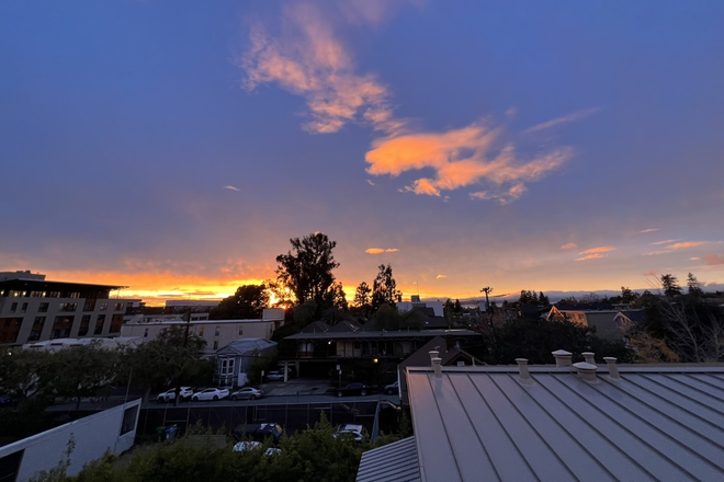 View from Patio - Hearst Ave Apartment 7