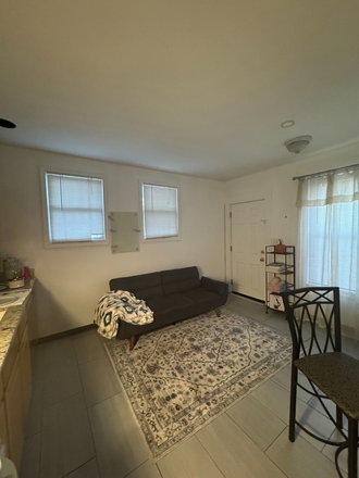 Living space/ kitchen - Beautiful Allston Apartment