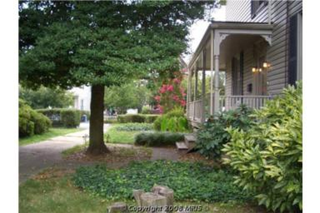 yard - 406 Lyman Ave / College Housing House