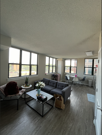 Living area - University View Apartment, 4b/2b [NEW REDUCED PRICE]