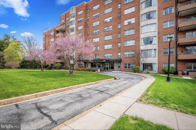 building - Spatious & Luminous elegant apartment  next to campus for spring semester