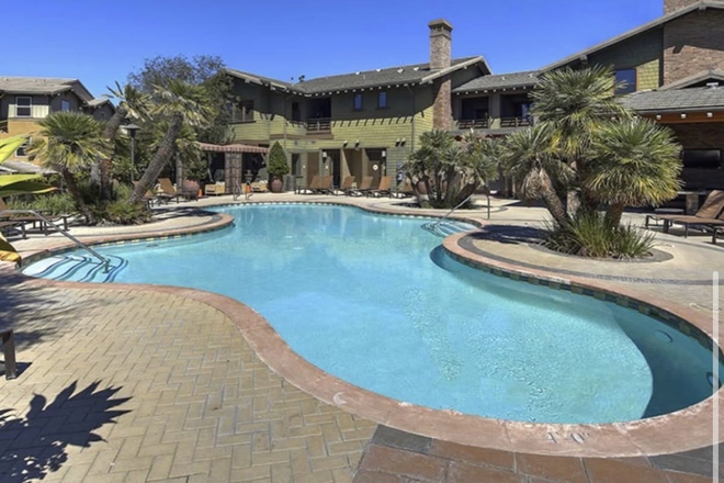 Pool - Private Room in Camino Del Sol over the Summer (Relet/Sublease)