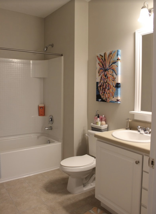 Bathroom - The Flats at 4200 Apartments