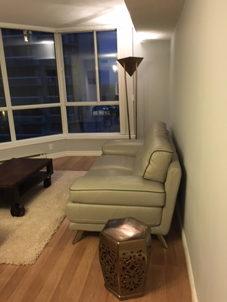 Living room - Furnished One-Bedroom Condo In the Minto Plaza at 38 Elm Street. All utilities included.