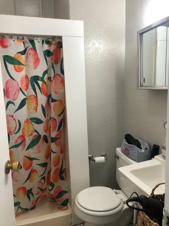 Bathroom - Stunning Studio in Beacon Hill Apartments