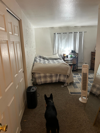 Bedroom - SPRING SUBLEASE - The Cove Apartments 1bedroom Shared Apartment Now Available