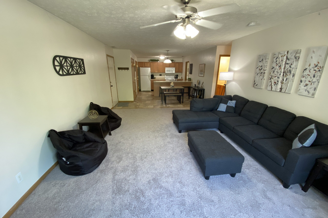 Living Area - 1117 Anthrop Pointe Apartments