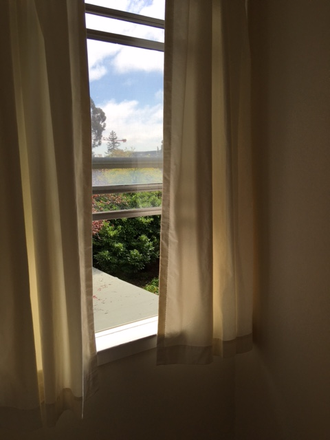 View to the south - Studio,  Furnished, Sunny, Quiet with Garden Near Campus, Internet, free Laundry on site.