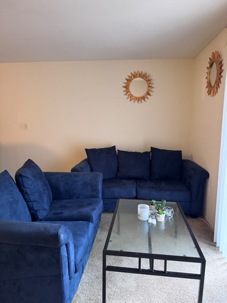 Living room - Sublease available for Female roommate at Oxford Manor Apartments